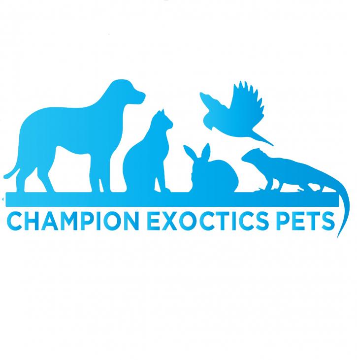 Image for Champion Exoctis Pets with ID of: 3757935