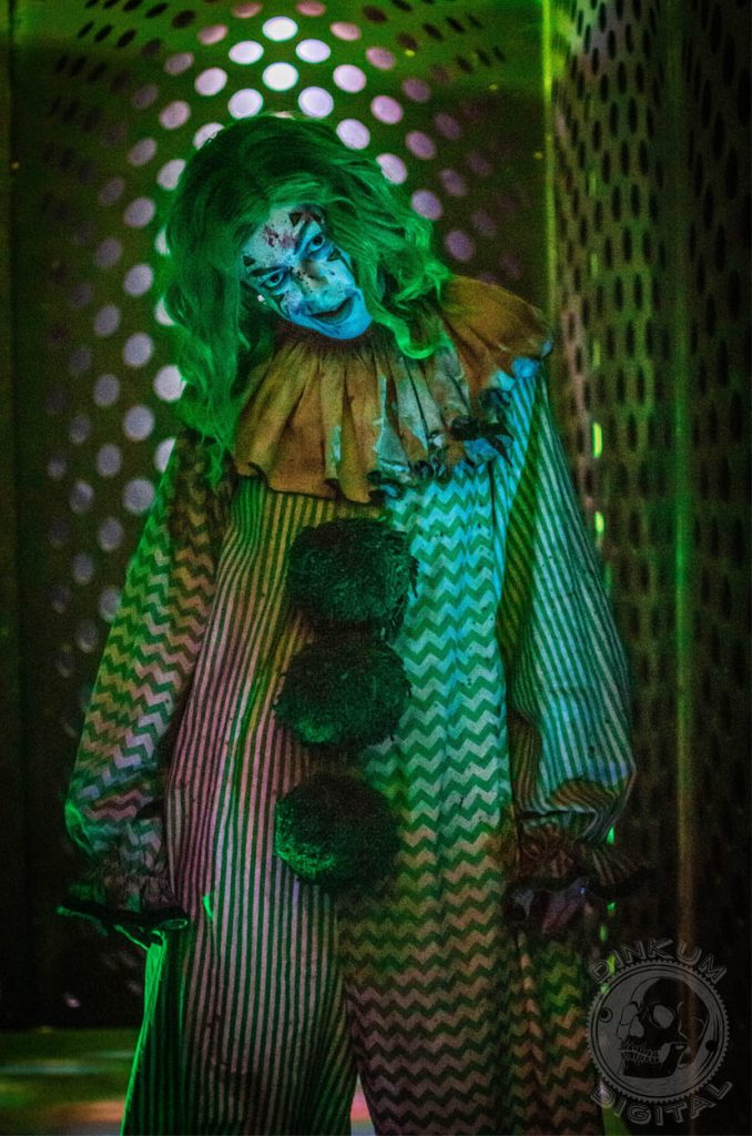 Image for Terror 29 Haunted House with ID of: 3759610
