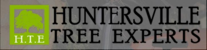 Image for Huntersville Tree Experts with ID of: 3759967