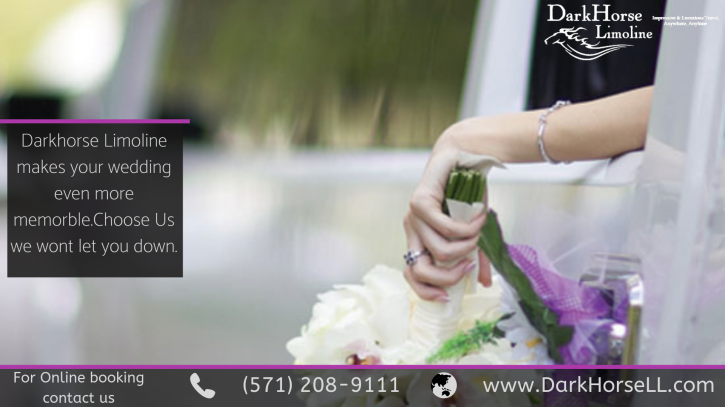 Image for Safe Limousine services in Virginia with ID of: 3760148