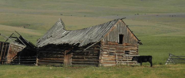 Image for IRC Section 121 Colorado, Montana, Texas and Wyoming with ID of: 3760464