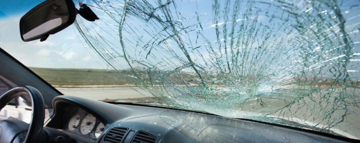 Image for Orange Blossom Auto Glass with ID of: 3761815