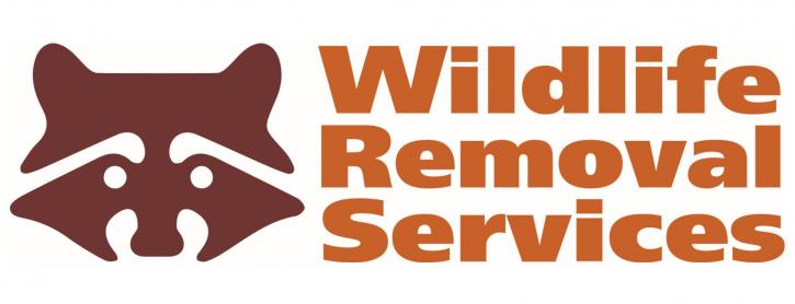 Image for Wildlife Removal Services with ID of: 3761937