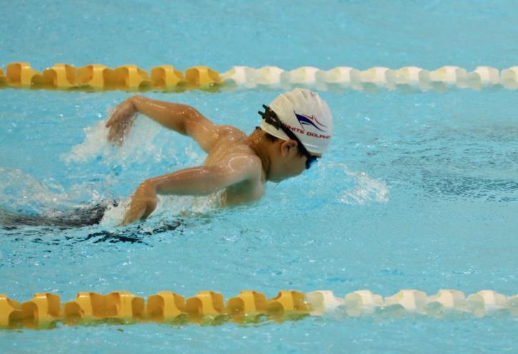 Image for White Dolphin Swimming Club with ID of: 3762265