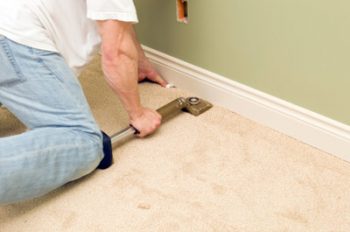 Image for Carpet Plus Restoration Services LLC with ID of: 3763435