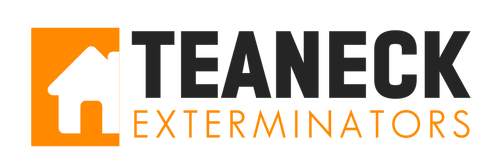 Image for Teaneck Exterminator with ID of: 3769891