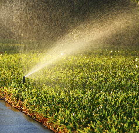 Image for Carefree Sprinklers LLC with ID of: 3771770