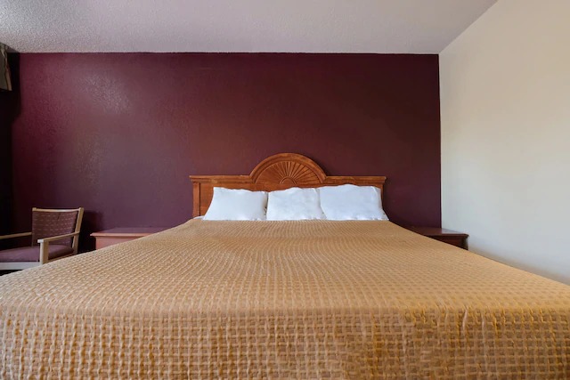 Image for OYO Hotel Manning SC with ID of: 3772391