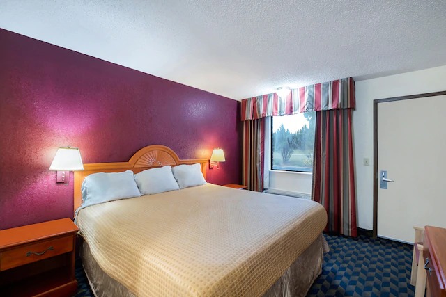 Image for OYO Hotel Manning SC with ID of: 3772399