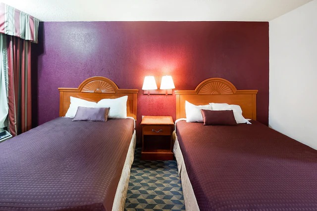 Image for OYO Hotel Manning SC with ID of: 3772406