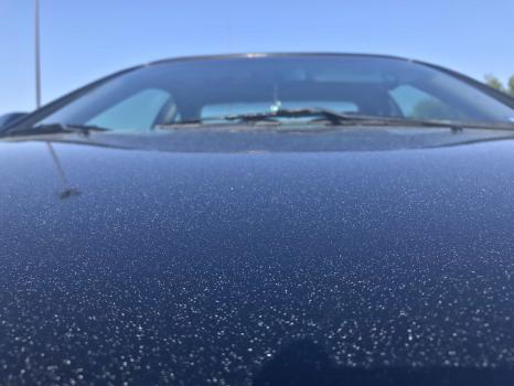 Image for National Overspray Removal with ID of: 3773400