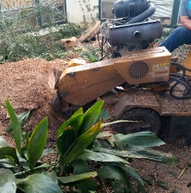 Image for Highpoint Tree Care with ID of: 3773401