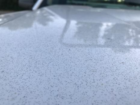 Image for National Overspray Removal with ID of: 3773402