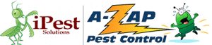 Image for San Antonio Pest Control,exterminators San Antonio Texas with ID of: 3773536