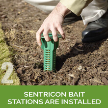 Image for San Antonio Pest Control,exterminators San Antonio Texas with ID of: 3773540