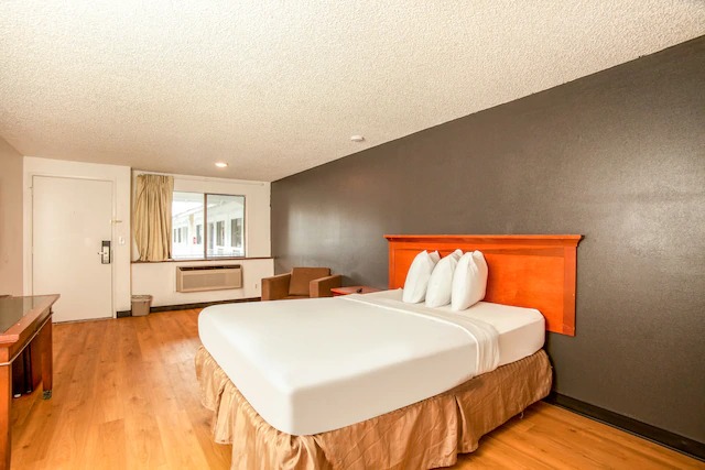 Image for OYO Hotel Centralia with ID of: 3774354