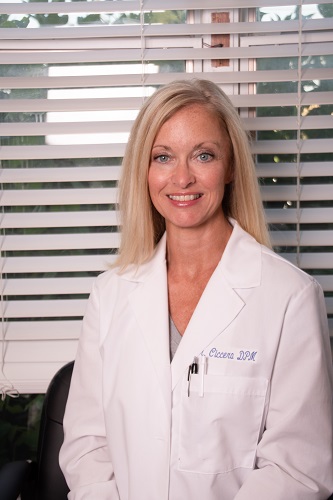 Image for Cornerstone Foot Care with ID of: 3774542