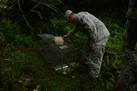Image for Pest Control & Exterminators Who is Most Important to Our Lives with ID of: 3775732