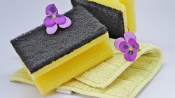 Image for Pro Cleaning Services Ottawa with ID of: 3776948