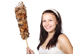 Image for Pro Cleaning Services Ottawa with ID of: 3776949