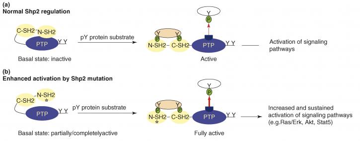 Image for Chromium Catalysts with ID of: 3776991