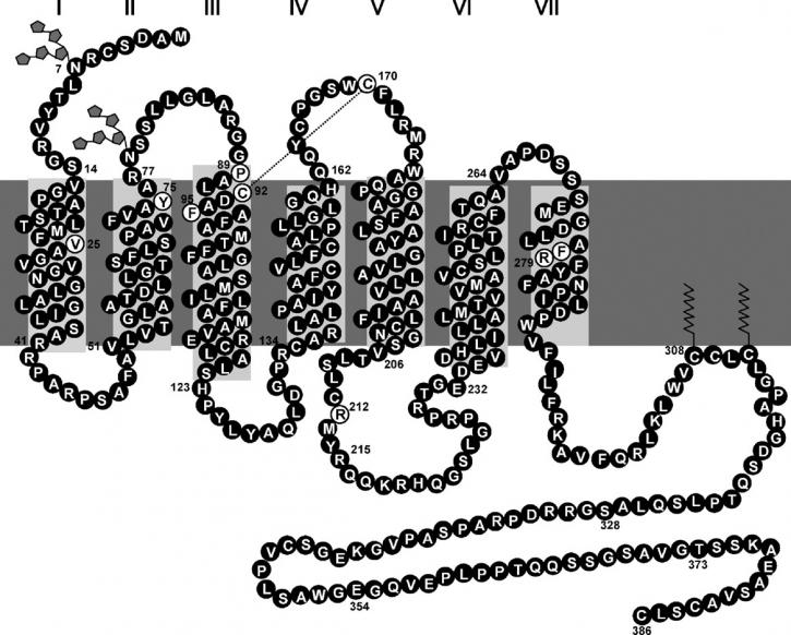 Image for Copper Catalysts with ID of: 3776999