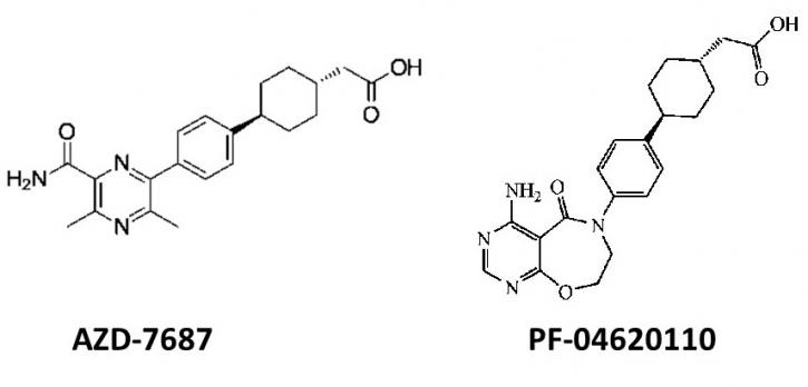 Image for Gadolinium Catalysts with ID of: 3777544