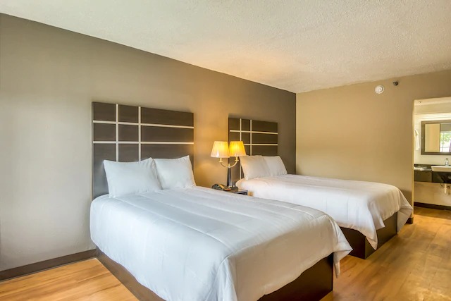 Image for OYO Hotel Jackson Fairgrounds I-55 with ID of: 3777584