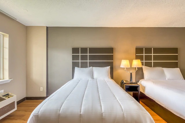 Image for OYO Hotel Jackson Fairgrounds I-55 with ID of: 3777585