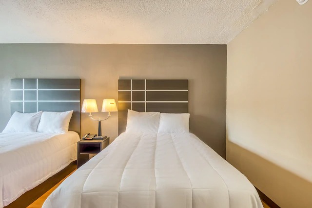 Image for OYO Hotel Jackson Fairgrounds I-55 with ID of: 3777587
