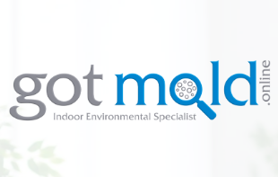 Image for Got Mold. Online with ID of: 3779778