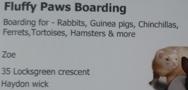 Image for Fluffy Paws Boarding with ID of: 3780695