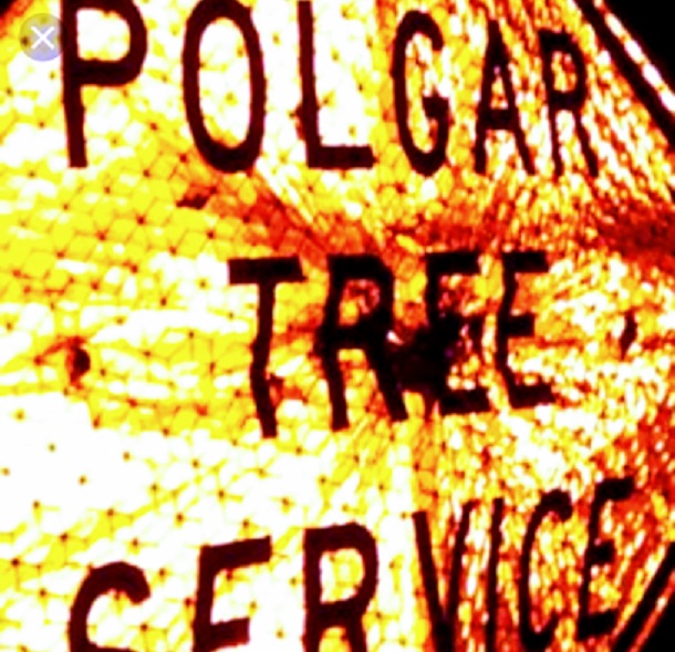 Image for Polgar Tree Service & Removal LLC with ID of: 3780847