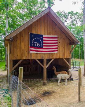 Image for Black Sheep Post and Beam with ID of: 3783088