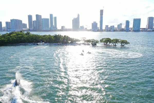 Image for Jet Ski Rental Miami with ID of: 3783994