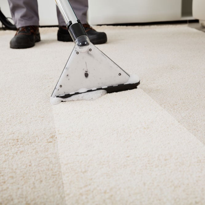 Image for Red Carpet Cleaning Service LLC with ID of: 3784259