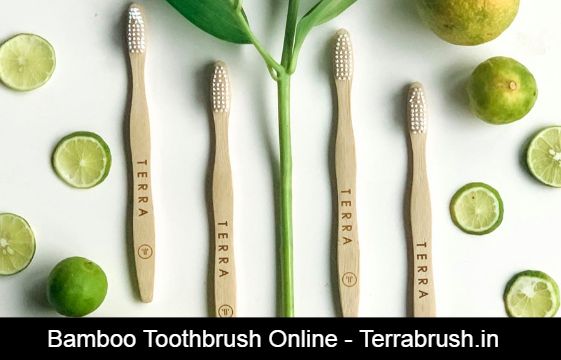 Image for Bamboo toothbrush Online- Terrabrush with ID of: 3785573