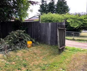 Image for Action Junk Removal with ID of: 3786337