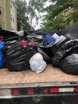 Image for Action Junk Removal with ID of: 3786558