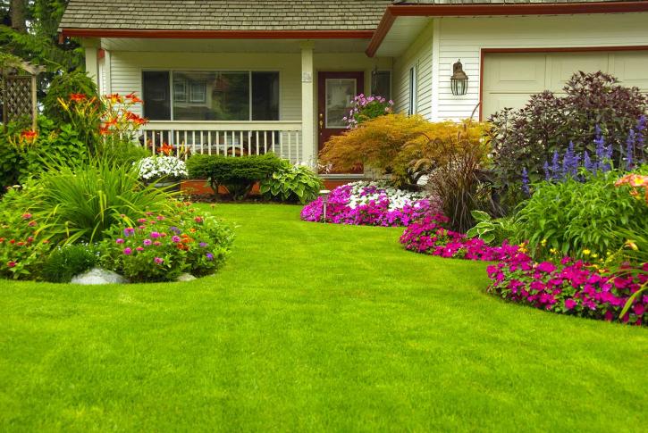 Image for Got Nichols Landscape with ID of: 3786580