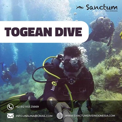 Image for Togean Dive with ID of: 3786709