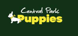 Image for Central Park Puppies with ID of: 3788150