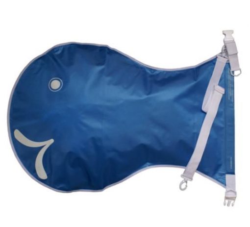 Image for Wiggle Fish with ID of: 3788557