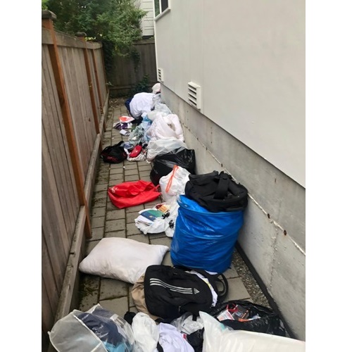 Image for Action Junk Hauling with ID of: 3789274
