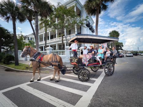 Image for Old South Carriage Company with ID of: 3789511