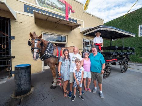 Image for Old South Carriage Company with ID of: 3789513