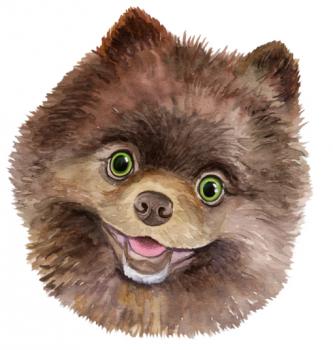 Image for Teddy Inc. with ID of: 3789517