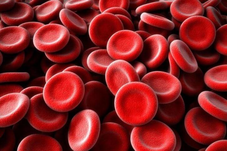 Image for Artificial Blood  Market Effect and Growth Factors Research and Projection 2018-2026 with ID of: 3789681