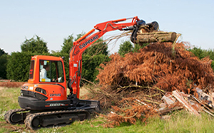 Image for Breland Services, LLC with ID of: 3790821
