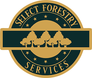 Image for Select Forestry Services with ID of: 3791233